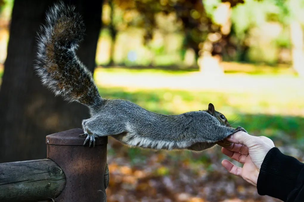 Contact Us — EsimEcho